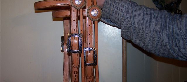 Headstalls with browband and fancy buckles and rosettes, personalized
