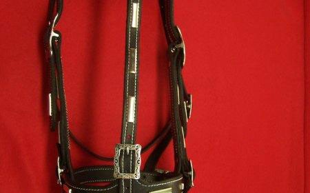 Black harness leather headstall with caveson and silver bars