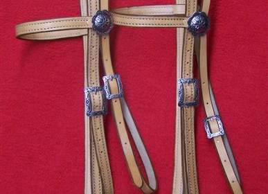 Plain brow band headstalls with fancy buckles and rosettes
